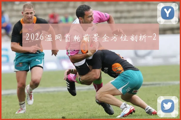 2026温网首轮前景全方位剖析
